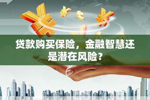 富阳贷款购买保险，金融智慧还是潜在风险？