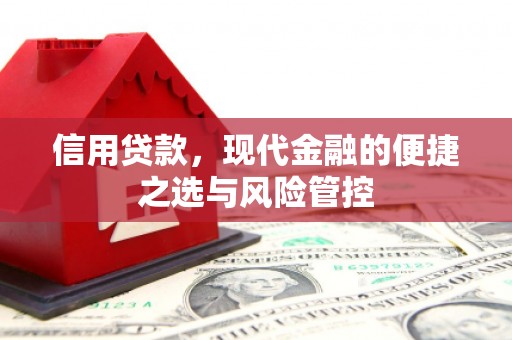 富阳信用贷款，现代金融的便捷之选与风险管控