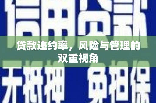 富阳贷款违约率，风险与管理的双重视角
