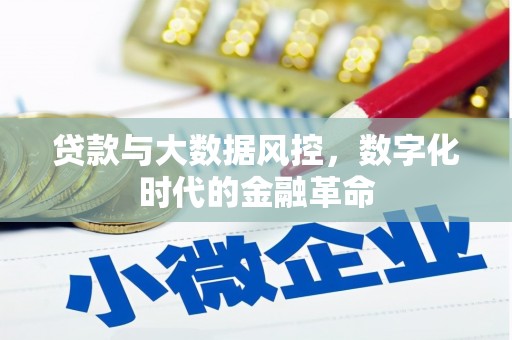 富阳贷款与大数据风控，数字化时代的金融革命