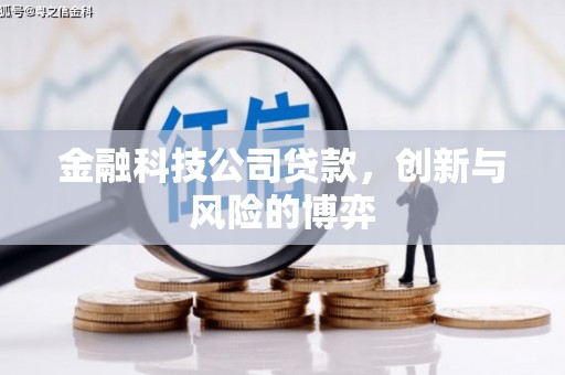 富阳金融科技公司贷款，创新与风险的博弈