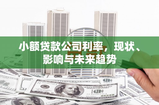富阳小额贷款公司利率，现状、影响与未来趋势