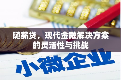 富阳随薪贷，现代金融解决方案的灵活性与挑战