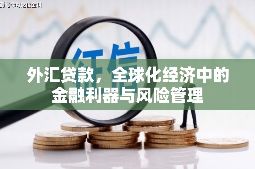 富阳外汇贷款，全球化经济中的金融利器与风险管理