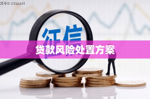 富阳贷款风险处置方案