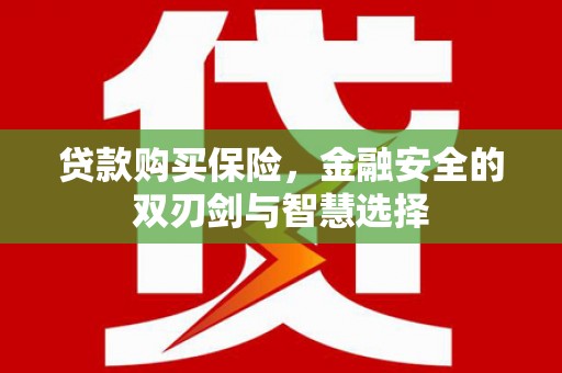 富阳贷款购买保险，金融安全的双刃剑与智慧选择