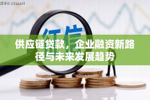 富阳供应链贷款，企业融资新路径与未来发展趋势