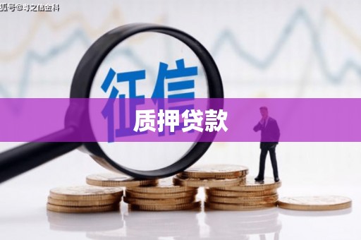 富阳质押贷款