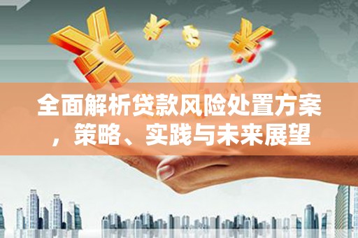 富阳全面解析贷款风险处置方案，策略、实践与未来展望