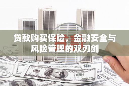 富阳贷款购买保险，金融安全与风险管理的双刃剑