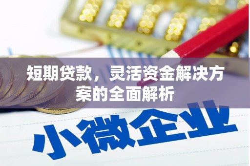 富阳短期贷款，灵活资金解决方案的全面解析