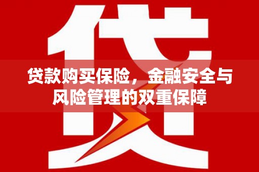 富阳贷款购买保险，金融安全与风险管理的双重保障