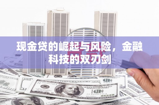 富阳现金贷的崛起与风险，金融科技的双刃剑