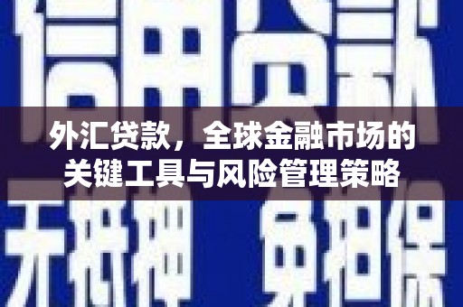 富阳外汇贷款，全球金融市场的关键工具与风险管理策略