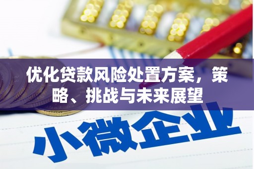 富阳优化贷款风险处置方案，策略、挑战与未来展望