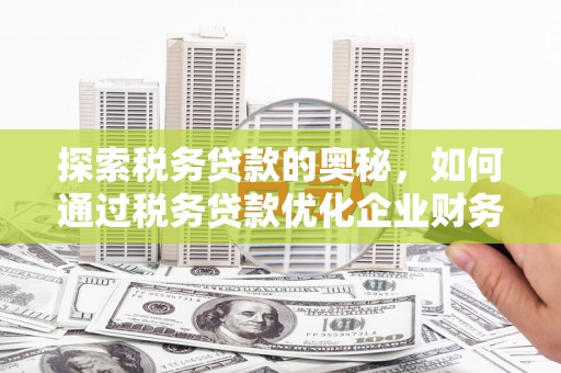 富阳探索税务贷款的奥秘，如何通过税务贷款优化企业财务