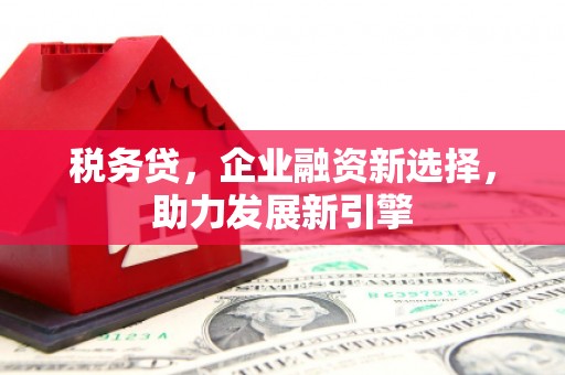 富阳税务贷，企业融资新选择，助力发展新引擎