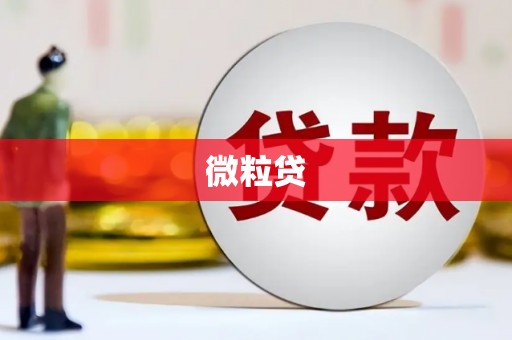 富阳微粒贷