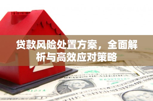 富阳贷款风险处置方案，全面解析与高效应对策略