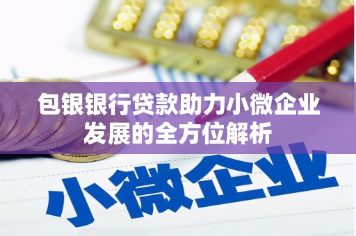 富阳包银银行贷款助力小微企业发展的全方位解析