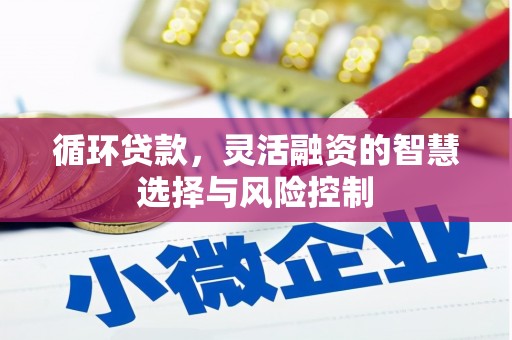 富阳循环贷款，灵活融资的智慧选择与风险控制