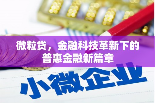 富阳微粒贷，金融科技革新下的普惠金融新篇章