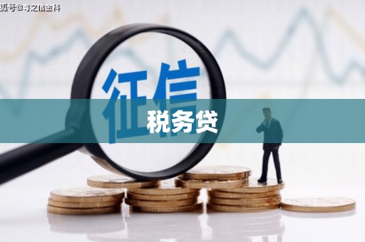 富阳税务贷