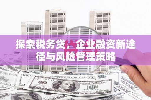 富阳探索税务贷，企业融资新途径与风险管理策略