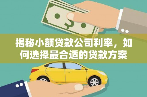 富阳揭秘小额贷款公司利率，如何选择最合适的贷款方案