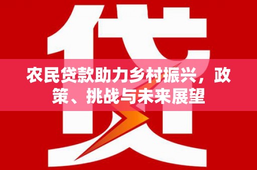 富阳农民贷款助力乡村振兴，政策、挑战与未来展望