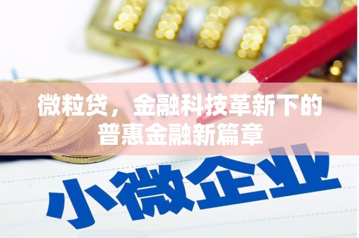 富阳微粒贷，金融科技革新下的普惠金融新篇章