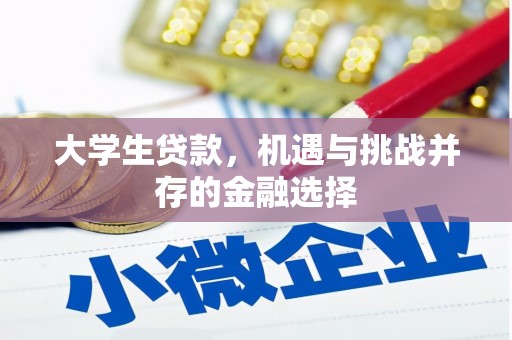 富阳大学生贷款，机遇与挑战并存的金融选择