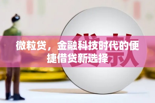 富阳微粒贷，金融科技时代的便捷借贷新选择