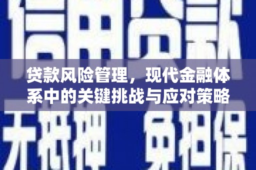 富阳贷款风险管理，现代金融体系中的关键挑战与应对策略