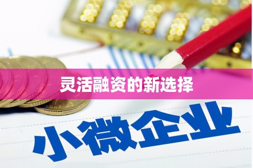 富阳灵活融资的新选择