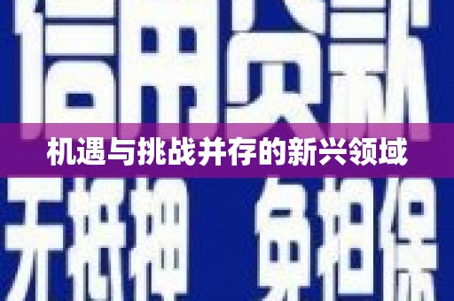 富阳机遇与挑战并存的新兴领域