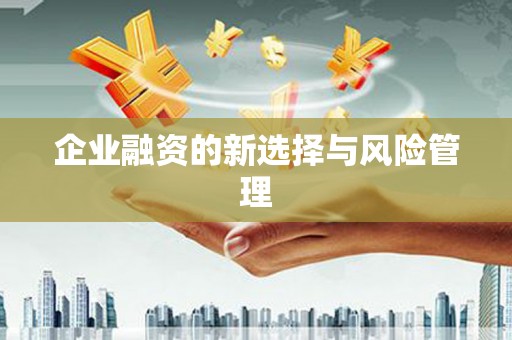 富阳企业融资的新选择与风险管理