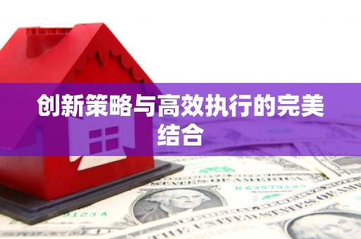 富阳创新策略与高效执行的完美结合