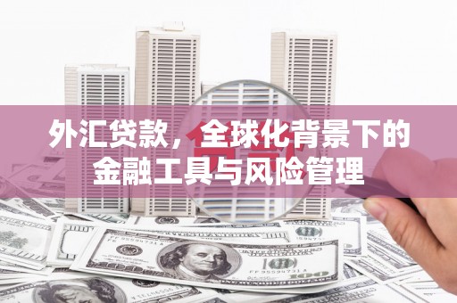 富阳外汇贷款，全球化背景下的金融工具与风险管理