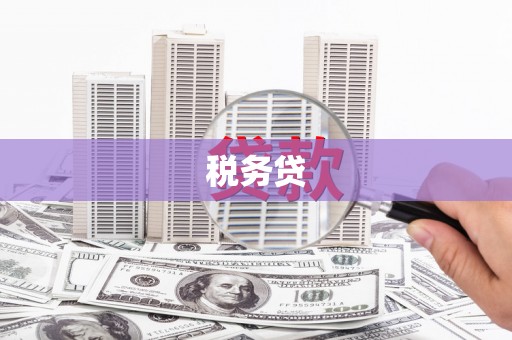 富阳税务贷